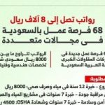فرص عمل فى السعودية برواتب تصل إلى 104 آلاف جنيه.. إنفوجراف