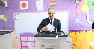 مجلس الشيوخ: إسهامات تاريخية للدولة المصرية بحسب وزير الاتصالات