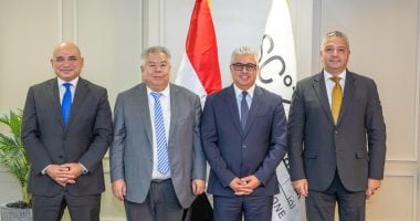 مشروع صيني ضخم في قناة السويس لإنتاج الأرضيات وألواح الجدران