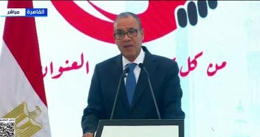 وزير الخارجية: مصر السند الحقيقى للشعب الفلسطينى ونواصل جهود دعمه