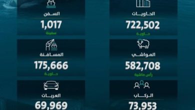 موانئ تسجل زيادة قدرها 12.01% في مُناولة الحاويات خلال يوليو 2023 الماضي