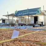 موسم عنيزة الدولي للتمور: نموذج عالمي يحتذي به في الاستدامة الزراعية المستدامة.