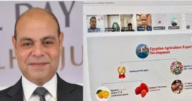 نفاذ الرمان المصري إلى الهند يثير اهتمام المكتب التجاري