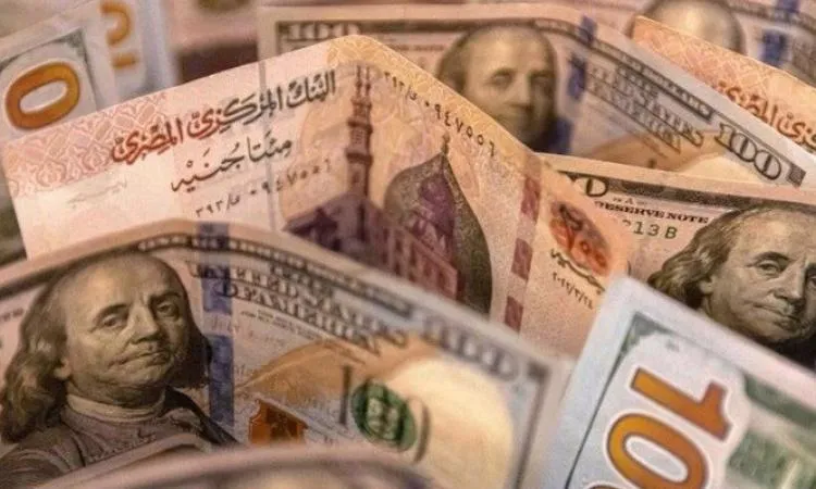 أسعار الدولار اليوم أمام الجنيه المصري