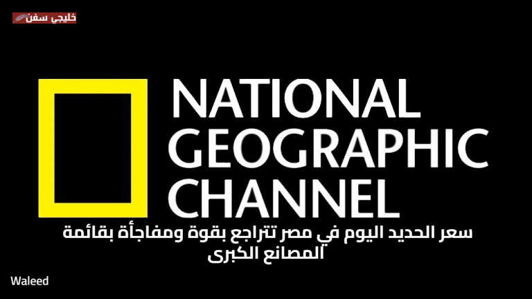 هبوط حاد.. سعر حديد عز والمصانع المصرية اليوم في مصر تتراجع بقوة ومفاجأة بقائمة المصانع الكبرى