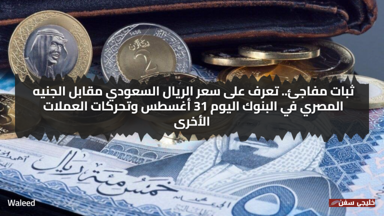 ثبات مفاجئ.. تعرف على سعر الريال السعودي مقابل الجنيه المصري في البنوك اليوم 31 أغسطس وتحركات العملات الأخرى