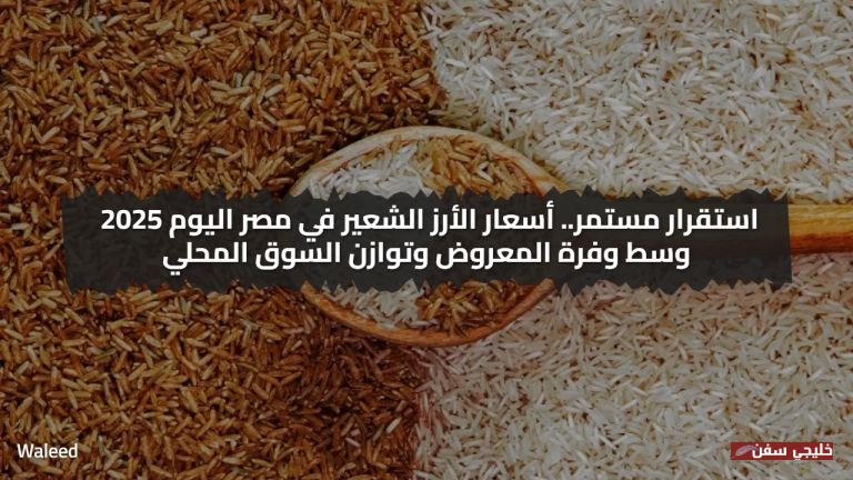 استقرار مستمر.. سعر الأرز الشعير في مصر اليوم 2025 وسط وفرة المعروض وتوازن السوق المحلي