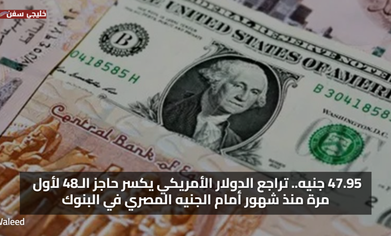 47.95 جنيه.. تراجع سعر الدولار مقابل الجنيه اليوم يكسر حاجز الـ48 لأول مرة منذ شهور أمام الجنيه في البنوك