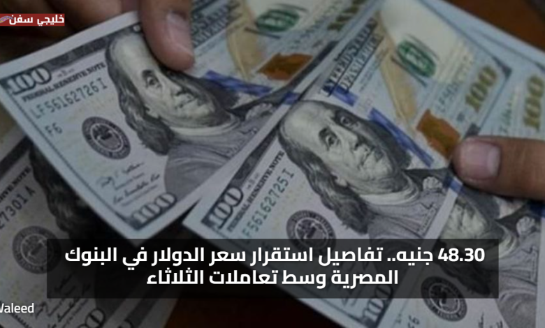 اعلي اسعار 48.30 جنيه.. استقرار سعر الدولار امام الجنيه اليوم في البنوك المصرية وسط تعاملات الثلاثاء