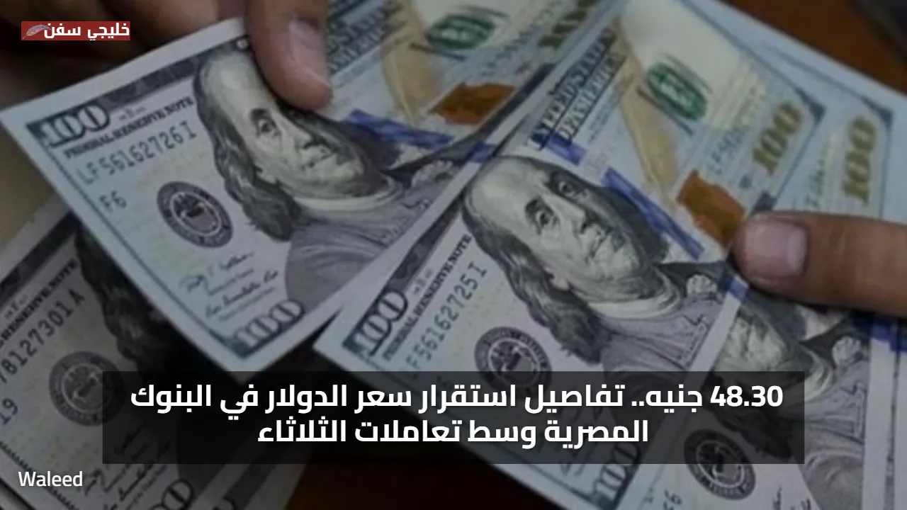 اعلي اسعار 48.30 جنيه.. استقرار سعر الدولار امام الجنيه اليوم في البنوك المصرية وسط تعاملات الثلاثاء