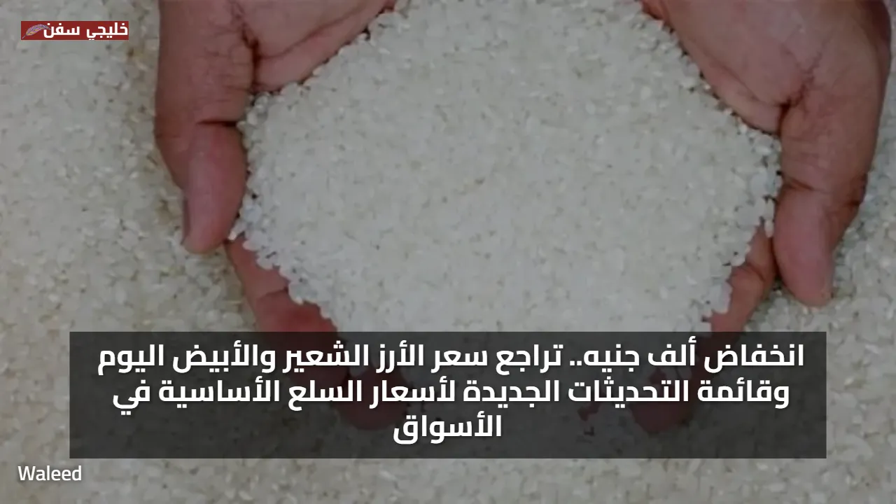 انخفاض ألف جنيه.. تراجع سعر الأرز الشعير والأبيض اليوم وقائمة التحديثات الجديدة لأسعار السلع الأساسية في الأسواق