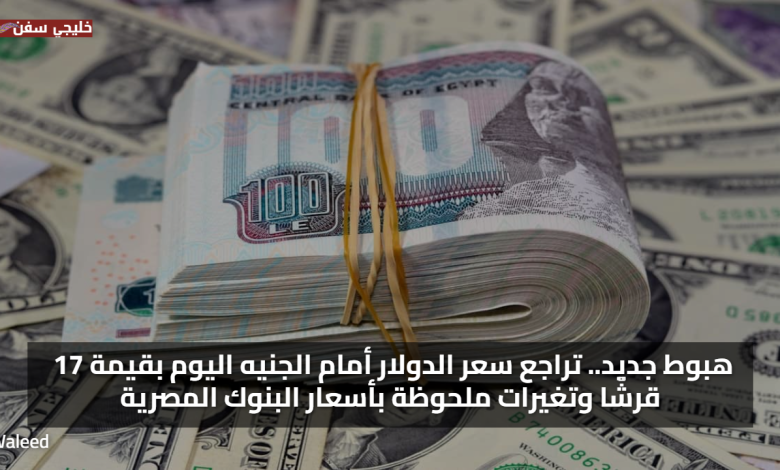 هبوط جديد.. تراجع سعر الدولار أمام الجنيه اليوم بقيمة 17 قرشًا وتغيرات ملحوظة بأسعار البنوك المصرية