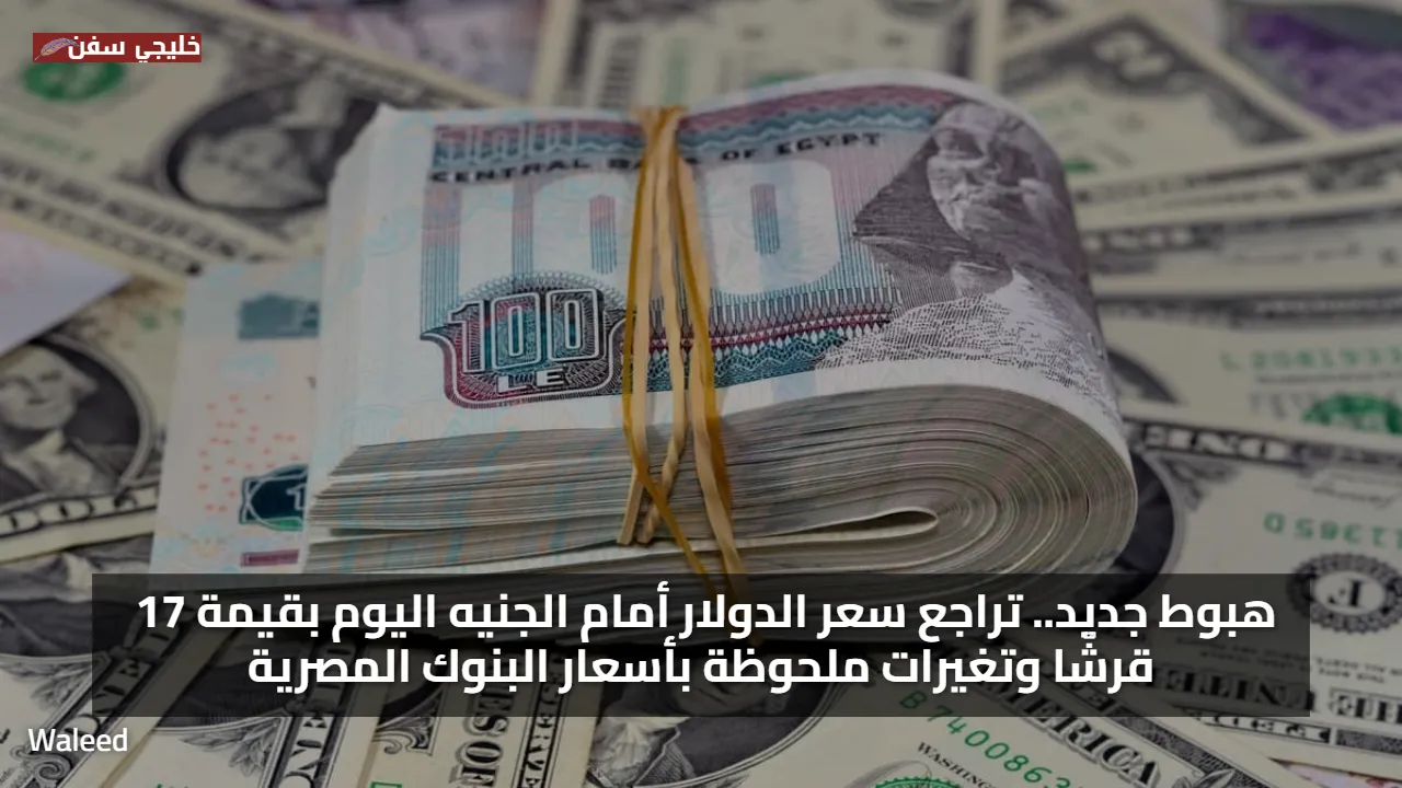 هبوط جديد.. تراجع سعر الدولار أمام الجنيه اليوم بقيمة 17 قرشًا وتغيرات ملحوظة بأسعار البنوك المصرية