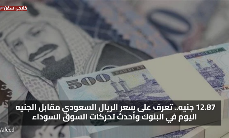 12.87 جنيه.. تعرف على سعر الريال السعودي مقابل الجنيه اليوم في البنوك وأحدث تحركات السوق السوداء