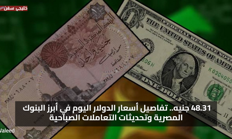48.31 جنيه.. تفاصيل سعر الدولار اليوم في أبرز البنوك المصرية وتحديثات التعاملات الصباحية