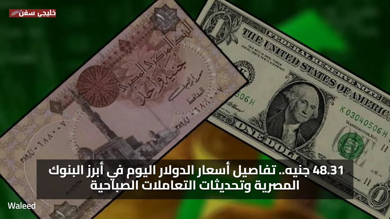 48.31 جنيه.. تفاصيل سعر الدولار اليوم في أبرز البنوك المصرية وتحديثات التعاملات الصباحية