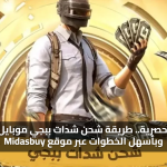 عروض حصرية.. طريقة شحن شدات ببجي موبايل بأمان وبأسهل الخطوات عبر موقع Midasbuy
