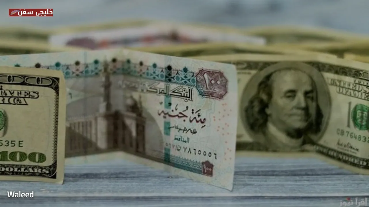 48.03 جنيه.. استقرار سعر الدولار مقابل الجنيه المصري يعيد التوازن للأسواق بعد تذبذبات الفترة الماضية