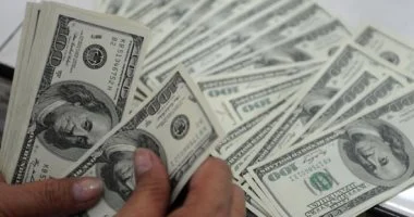 استقرار سعر الدولار