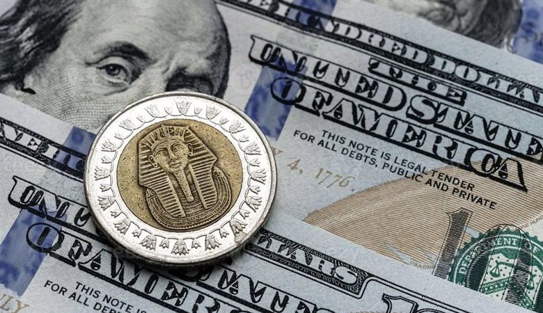 استقرار سعر الدولار أمام الجنيه المصري