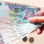 الدرهم الإماراتي
