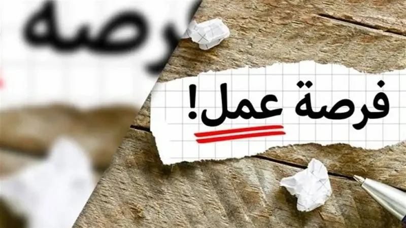 وزارة العمل تعلن عن وظائف جديدة برواتب تصل إلى 12 ألف جنيه