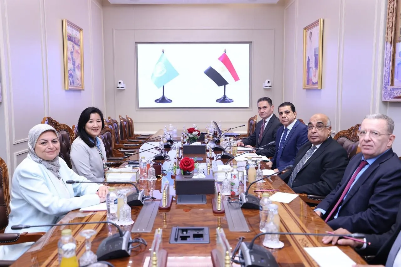 وزير العدل يبحث مع ممثلة برنامج الأمم المتحدة الإنمائي تعزيز التعاون ودعم مشروعات العدالة