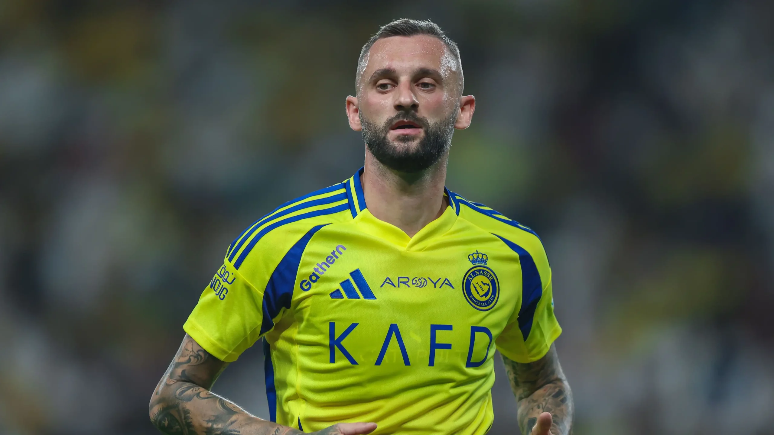 مارسيلو بروزوفيتش