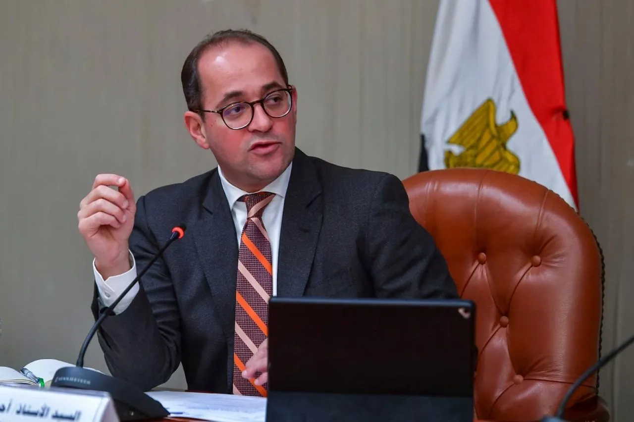 أحمد كجوك، وزير المالية