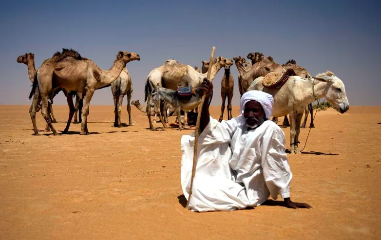 أكبر قبيلة عربية