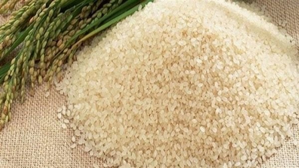 سعر طن الأرز الشعير اليوم الثلاثاء 23 سبتمبر 2025 وأسعار السلع الغذائية في مصر