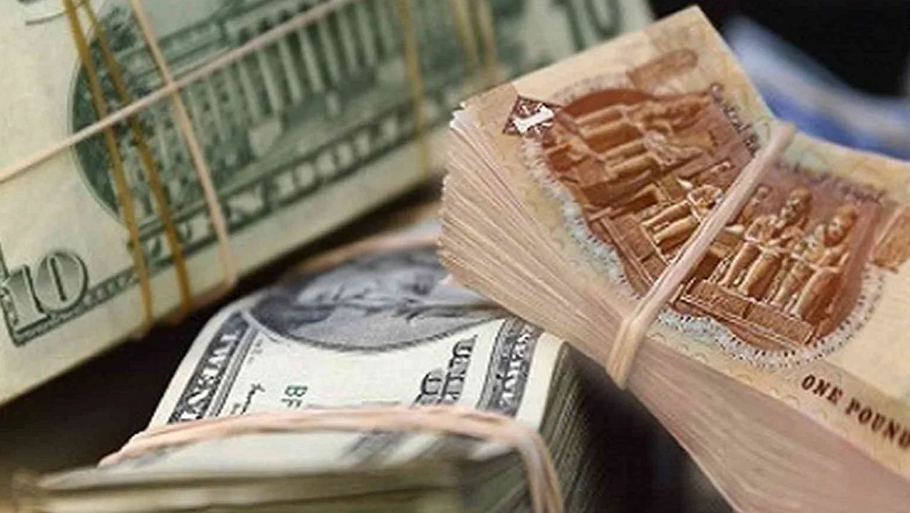 استقرار سعر الدولار أمام الجنيه المصري