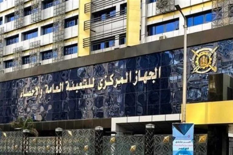 تراجع أعداد العاملين الأجانب بالقطاع الحكومي والعام بنسبة 23% خلال 2024
