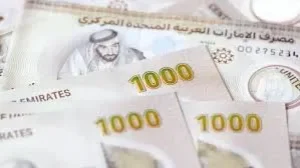 الدرهم الإماراتي
