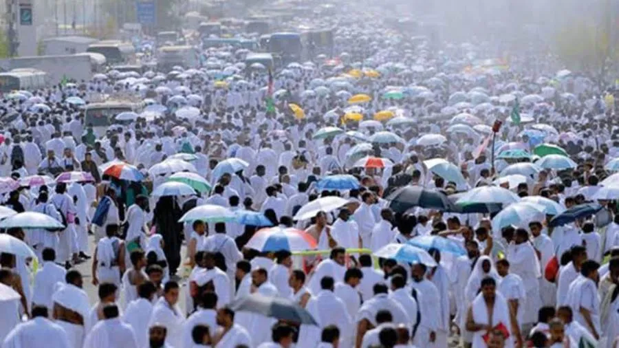 البعثة الطبية المصرية لموسم الحج 1447هـ (2026م