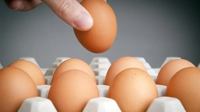 أسعار البيض والأجبان والألبان