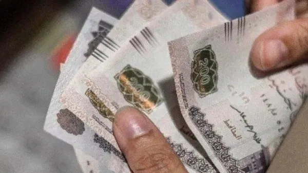 مرتبات