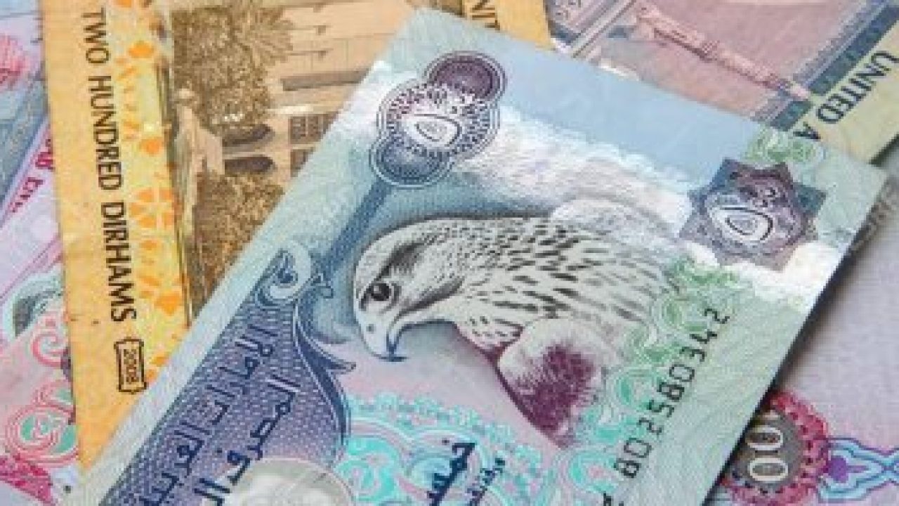 الدرهم الإماراتي