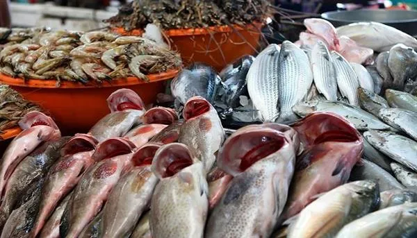 أسعار الأسماك والجمبري