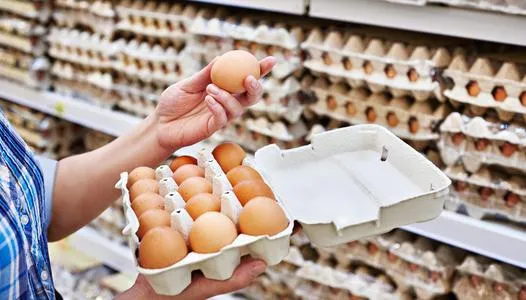أسعار البيض