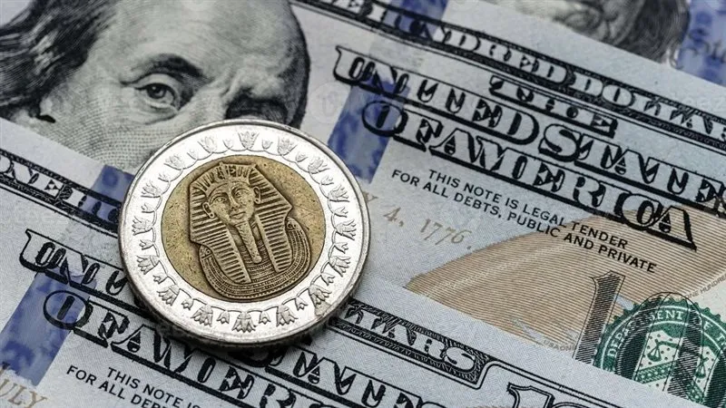 استقرار سعر الدولار