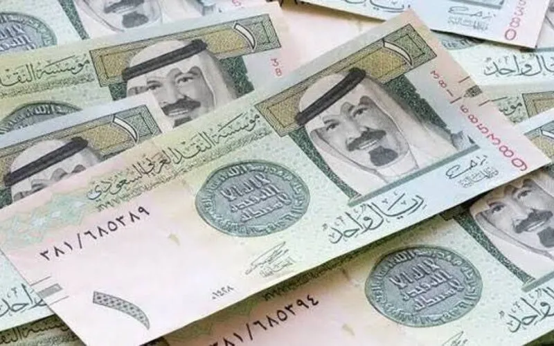 الحديد والأسمنت
