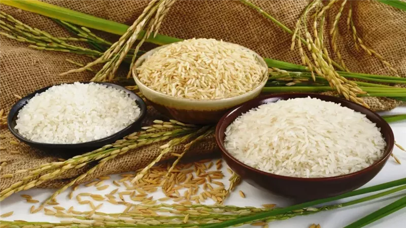 طن الأرز الشعير والأبيض