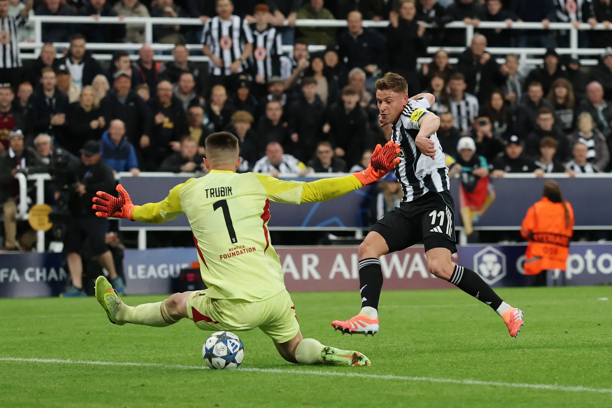 نيوكاسل يفوز على بنفيكا بثلاثية