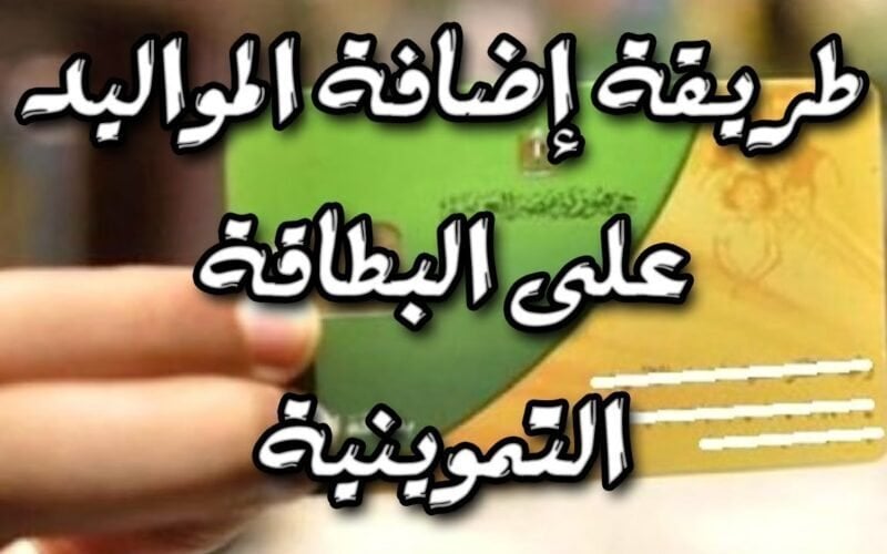 إضافة المواليد