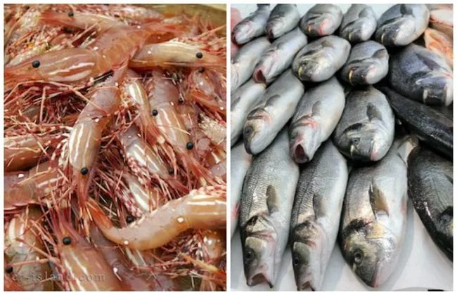 السمك والجمبري