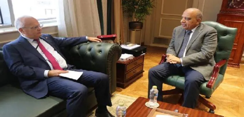 وزير الكهرباء محمود عصمت