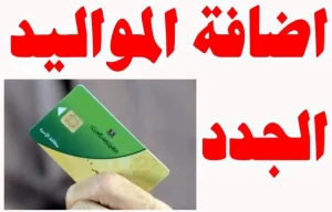 خطوات إضافة المواليد الجدد على بطاقات التموين 2025 وشروط التسجيل عبر بوابة مصر الرقمية