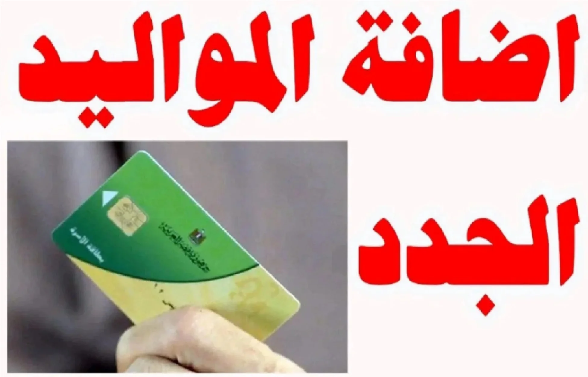 إضافة المواليد الجدد على بطاقات التموين 2025