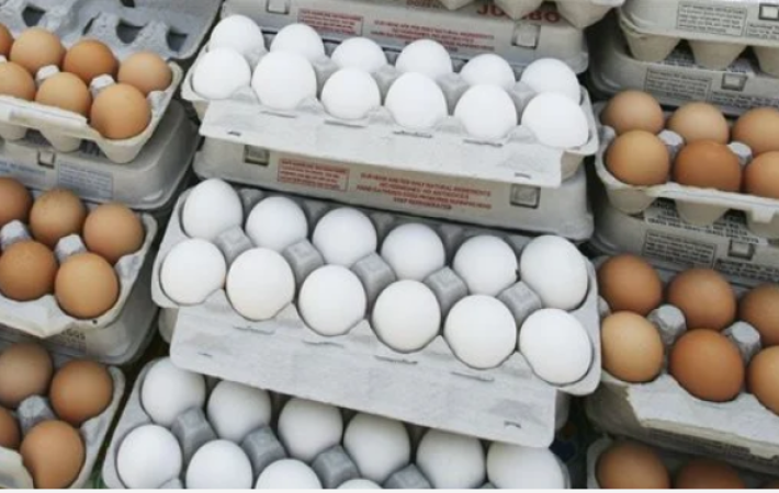 أسعار البيض